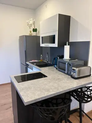 Küche/Küchenzeile in der Unterkunft Apartment Im Sand nahe am See