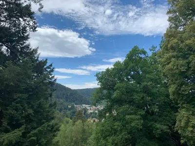 Naturlandschaft in der Nähe der Ferienwohnung