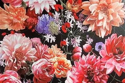 Grundriss der Unterkunft Blumen(t)raum - Ferienwohnung in Karlsruhe