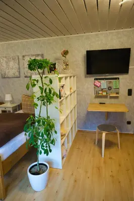 TV/Unterhaltungsangebot in der Unterkunft Gemütliche Wohnung mit Neckarblick