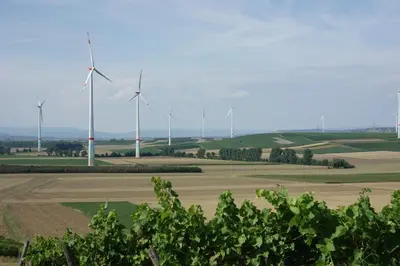Naturlandschaft in der Nähe der Ferienwohnung