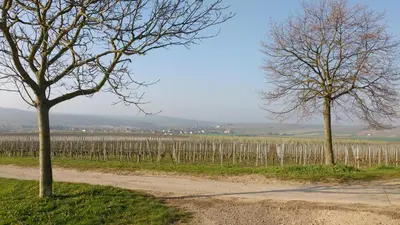 Naturlandschaft in der Nähe der Ferienwohnung