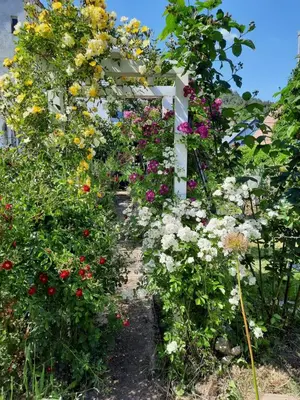Ein Garten an der Unterkunft Neugärten