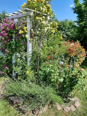 Ein Garten an der Unterkunft Neugärten