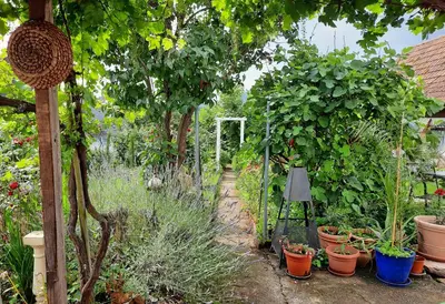 Ein Garten an der Unterkunft Neugärten