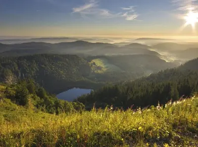 Naturlandschaft in der Nähe der Ferienwohnung
