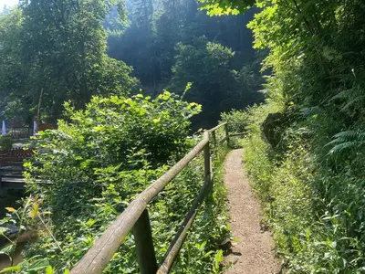 Naturlandschaft in der Nähe des Hotels