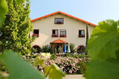 Ein Garten an der Unterkunft Villa Hochdörffer Gästehaus