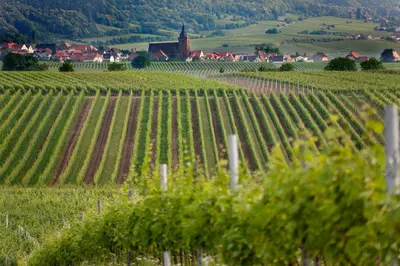 Naturlandschaft in der Nähe der Pension