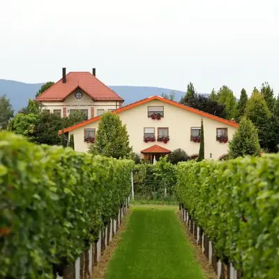 Villa Hochdörffer Gästehaus