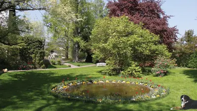 Ein Garten an der Unterkunft Unterkunft im Weingut Fitz-Ritter