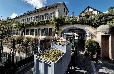 Ein Garten an der Unterkunft Unterkunft im Weingut Fitz-Ritter