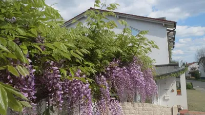 Ein Garten an der Unterkunft Lindner's Hotel