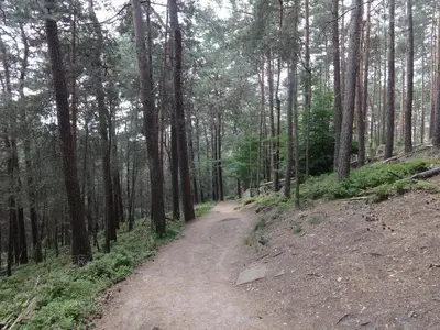 Naturlandschaft in der Nähe des Hotels