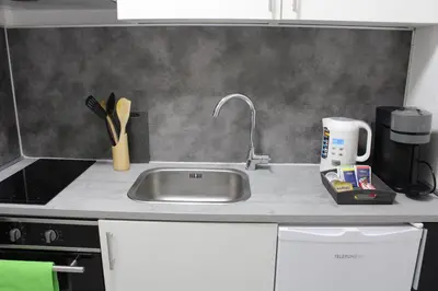 Küche/Küchenzeile in der Unterkunft Schickes Appartement an der Neckarpromenade