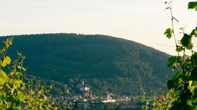 Naturlandschaft in der Nähe der Ferienwohnung
