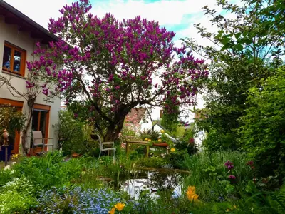 Ein Garten an der Unterkunft Herzensort - Schönes Haus mit Terrasse und Gartenblick