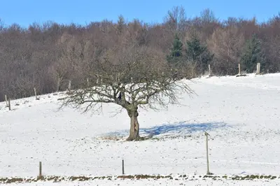 Ferienbauernhof Brandt im Winter