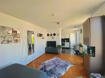 TV/Unterhaltungsangebot in der Unterkunft Business Apartment in CityPark