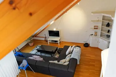 TV/Unterhaltungsangebot in der Unterkunft Große, helle Wohnung für bis zu 6 Personen