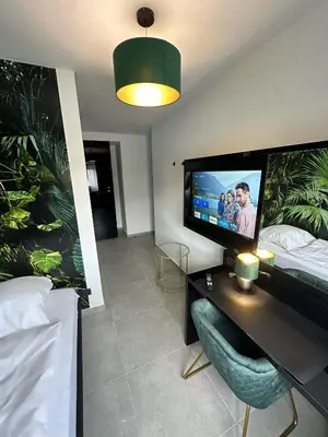 TV/Unterhaltungsangebot in der Unterkunft EasyLiving Darmstadt