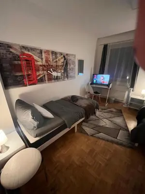 TV/Unterhaltungsangebot in der Unterkunft Großes Apartment Aschaffenburg 4 Schlafzimmer bis zu 10 Personen Mainpark Apartment Mainaschaff
