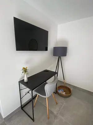 TV/Unterhaltungsangebot in der Unterkunft Ferienwohnung Schleifnest