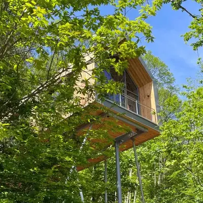 Baumwipfelhaus