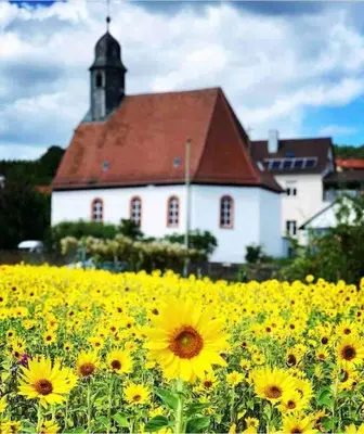 Grundriss der Unterkunft Naturpanorama
