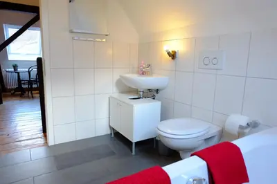 Ein Badezimmer in der Unterkunft heidel-home 1Raum Studio