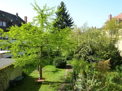 Ein Garten an der Unterkunft heidel-home 3Raum Wohnung