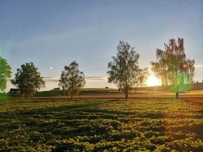Naturlandschaft in der Nähe der Ferienwohnung