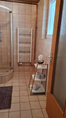 Ein Badezimmer in der Unterkunft Fridolin