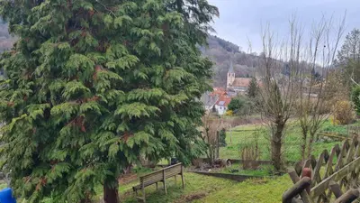 Naturlandschaft in der Nähe der Ferienwohnung