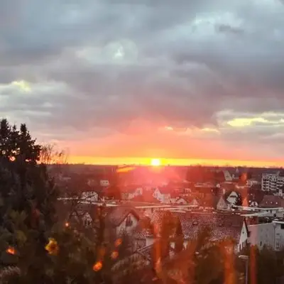 Appartement an der Weinstraße Bad Bergzabern
