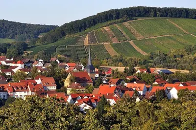 Naturlandschaft in der Nähe der Ferienwohnung