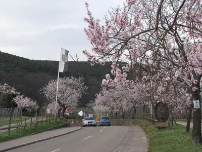 Naturlandschaft in der Nähe der Ferienwohnung